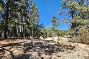 4800 S Wildlife Dr, Flagstaff, AZ 86005 - Photo 65