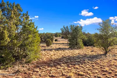 8755 Hawkeye Circle #Lot B, Williams, AZ 86046 - Photo 17