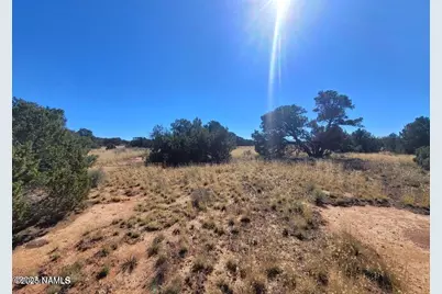 4331 Greeley Drive #278, Williams, AZ 86046 - Photo 7