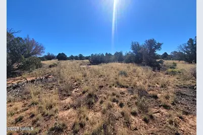 4331 Greeley Drive #278, Williams, AZ 86046 - Photo 3