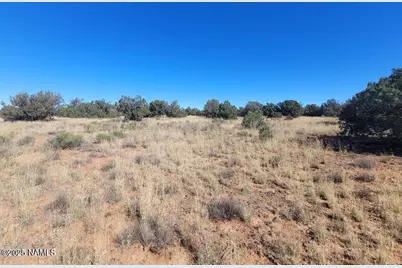 4331 Greeley Drive #278, Williams, AZ 86046 - Photo 1