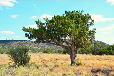 11154 Howard Mesa Loop, Williams, AZ 86046 - Photo 1