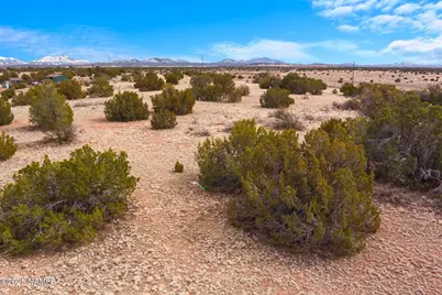 3454 E Antelope Vista, Williams, AZ 86046 - Photo 13