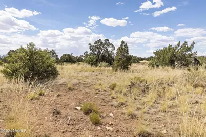 911 S Wedgewood Drive, Williams, AZ 86046 - Photo 21