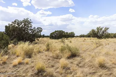 911 S Wedgewood Drive, Williams, AZ 86046 - Photo 23