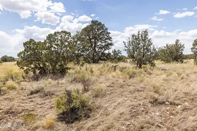 911 S Wedgewood Drive, Williams, AZ 86046 - Photo 17