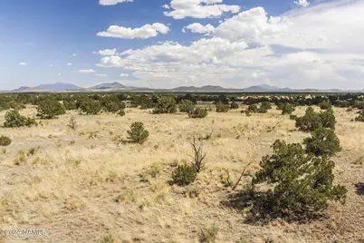 911 S Wedgewood Drive, Williams, AZ 86046 - Photo 5