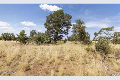 911 S Wedgewood Drive, Williams, AZ 86046 - Photo 19