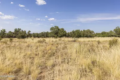 911 S Wedgewood Drive, Williams, AZ 86046 - Photo 25