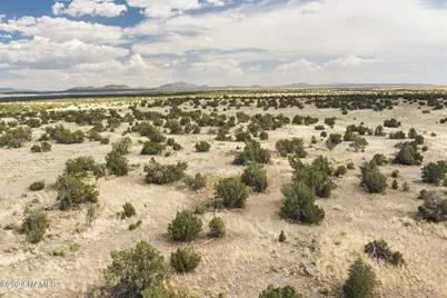 851 S Wyandotte Road, Williams, AZ 86046 - Photo 3