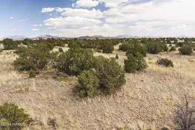 851 S Wyandotte Road, Williams, AZ 86046 - Photo 7