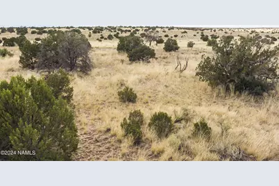 851 S Wyandotte Road, Williams, AZ 86046 - Photo 25