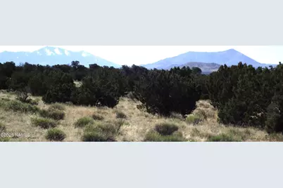 2256 S Bluebell Road, Williams, AZ 86046 - Photo 5