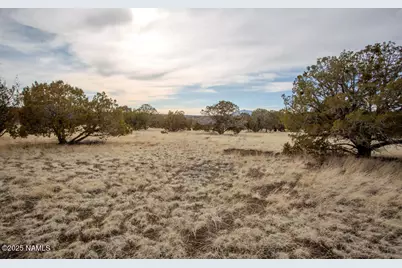 13165 Cloud Way, Flagstaff, AZ 86004 - Photo 3