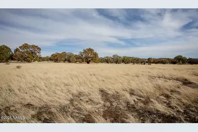 13165 Cloud Way, Flagstaff, AZ 86004 - Photo 13