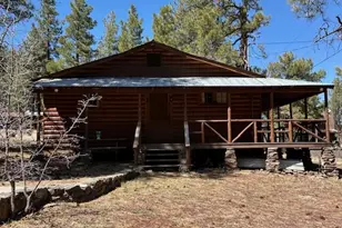 1335 Park Dr, Mormon Lake, AZ 86038 - Photo 17