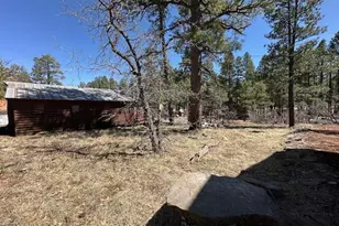 1335 Park Dr, Mormon Lake, AZ 86038 - Photo 19