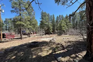 1335 Park Dr, Mormon Lake, AZ 86038 - Photo 21
