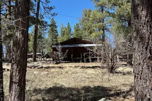 1335 Park Dr, Mormon Lake, AZ 86038 - Photo 17