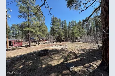 1335 Park Drive, Mormon Lake, AZ 86038 - Photo 23