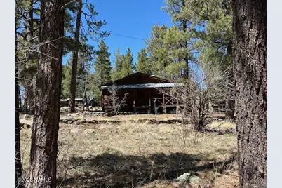 1335 Park Drive, Mormon Lake, AZ 86038 - Photo 19