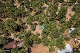 2029 Moccasin Cir, Heber-Overgaard, AZ 85298 - Photo 27