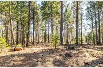 6617 Freedline Drive, Flagstaff, AZ 86001 - Photo 33