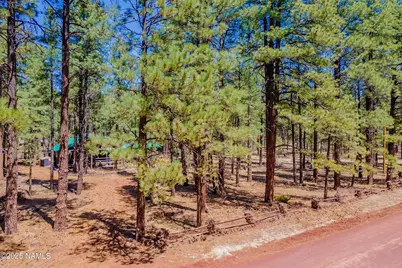 7621 E Jolly Rogue Lane, Williams, AZ 86046 - Photo 5