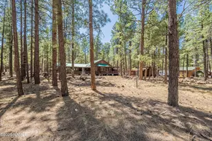 7621 E Jolly Rogue Ln, Williams, AZ 86046 - Photo 57