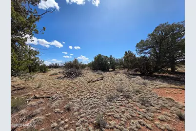 564 N Wyandotte Road, Williams, AZ 86046 - Photo 11