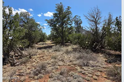 564 N Wyandotte Road, Williams, AZ 86046 - Photo 7