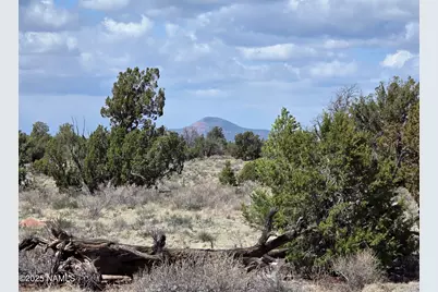 564 N Wyandotte Road, Williams, AZ 86046 - Photo 3