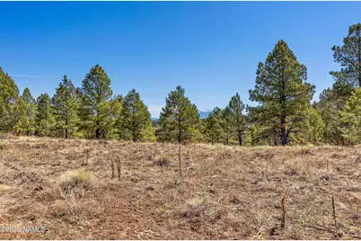 747 N Davenport Lk Road, Williams, AZ 86046 - Photo 13