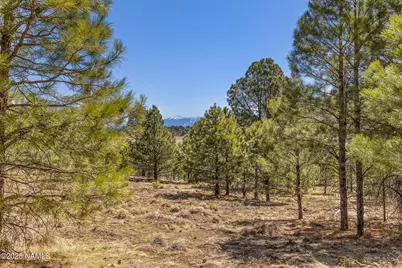 747 N Davenport Lk Road, Williams, AZ 86046 - Photo 5