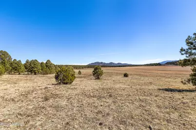 747 N Davenport Lk Road, Williams, AZ 86046 - Photo 17