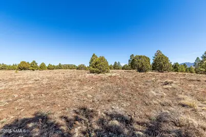 747 N Davenport Lk Road, Williams, AZ 86046 - Photo 19