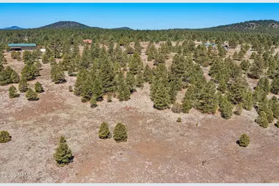 747 N Davenport Lk Road, Williams, AZ 86046 - Photo 15