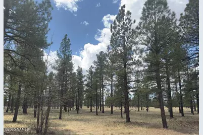Lot 1 Hattie Greene, Flagstaff, AZ 86001 - Photo 5