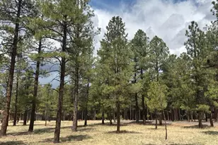 Lot 1 Hattie Greene, Flagstaff, AZ 86001 - Photo 1