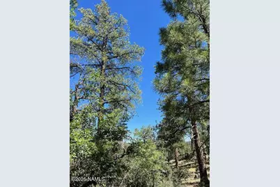 1642 Canyon View Loop, Williams, AZ 86046 - Photo 37