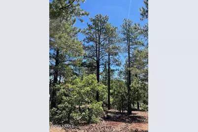 1642 Canyon View Loop, Williams, AZ 86046 - Photo 33