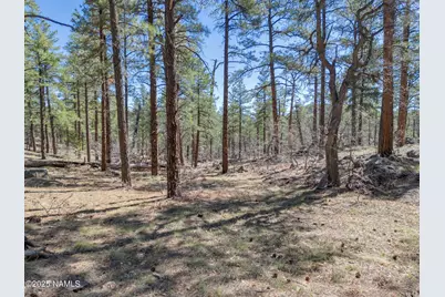 1642 Canyon View Loop, Williams, AZ 86046 - Photo 3
