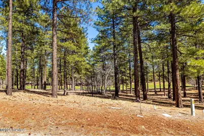 4160 Lariat Loop, Flagstaff, AZ 86005 - Photo 9