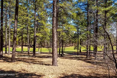 4160 Lariat Loop, Flagstaff, AZ 86005 - Photo 3