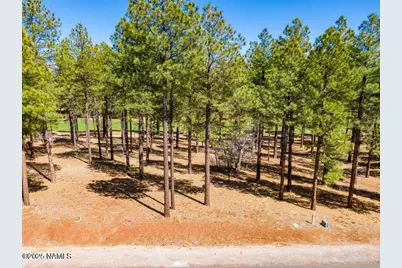 4160 Lariat Loop, Flagstaff, AZ 86005 - Photo 27