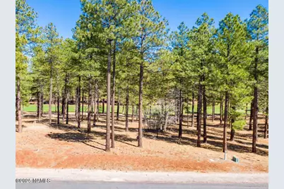 4160 Lariat Loop, Flagstaff, AZ 86005 - Photo 29