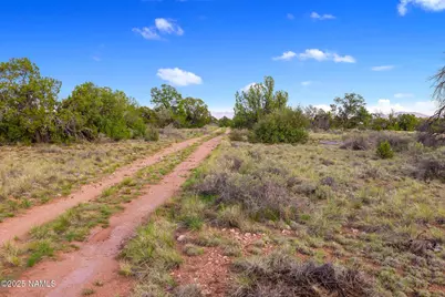 212 S Palmetto Road, Williams, AZ 86046 - Photo 11