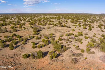 212 S Palmetto Road, Williams, AZ 86046 - Photo 15