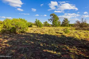 243 S Ann Cir, Williams, AZ 86046 - Photo 1