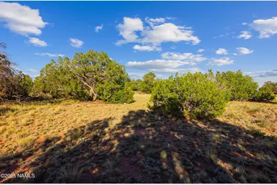 243 S Ann Circle, Williams, AZ 86046 - Photo 5